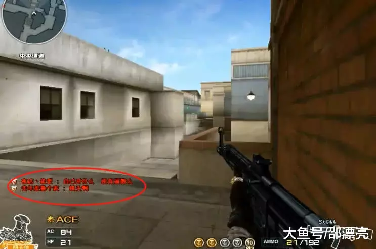 Rare Atom 从 LPL 联赛中退出，结束了三年的运营。